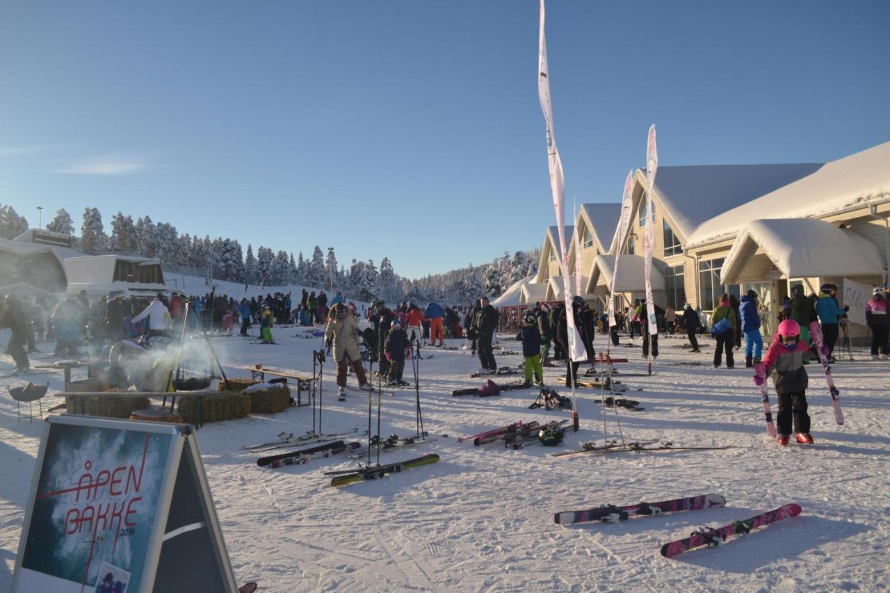 Ski Lodge Gautefall Экстерьер фото