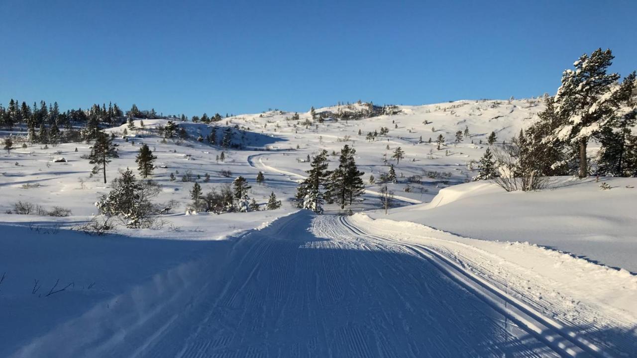 Ski Lodge Gautefall Экстерьер фото