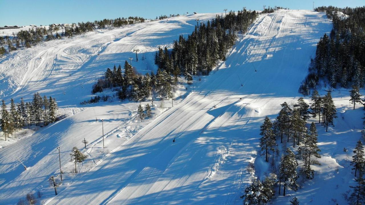Ski Lodge Gautefall Экстерьер фото